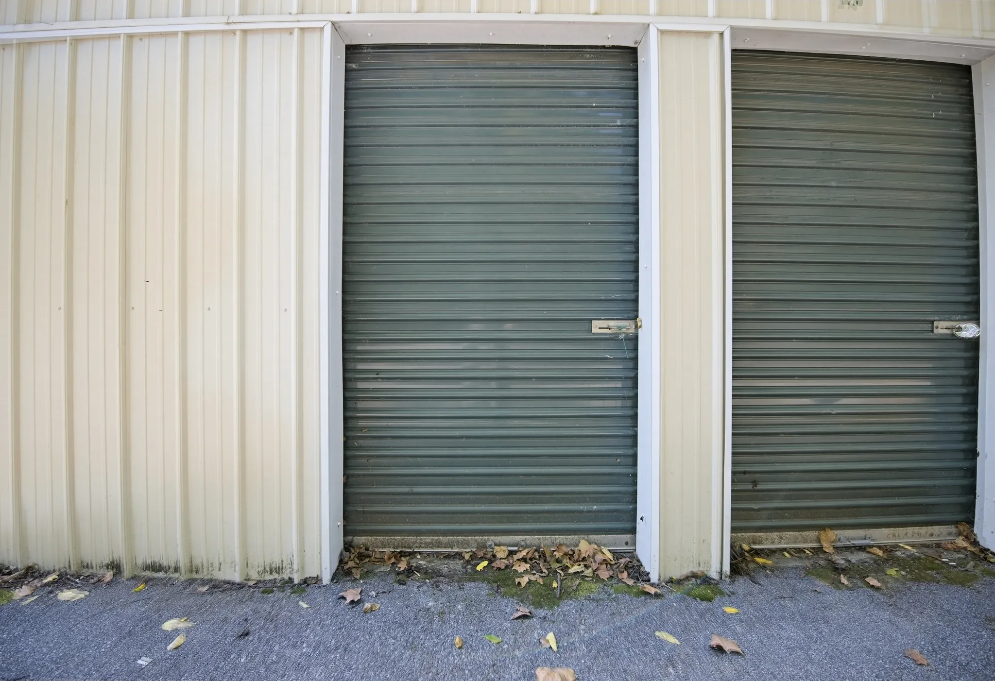 Store photo 3