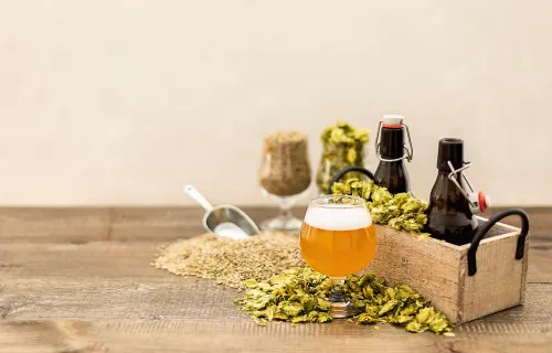 Storing Home Brewing Equipment: A Complete Guide post